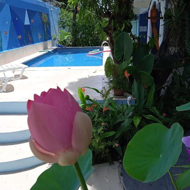 Porto Bahia Hotel 3*